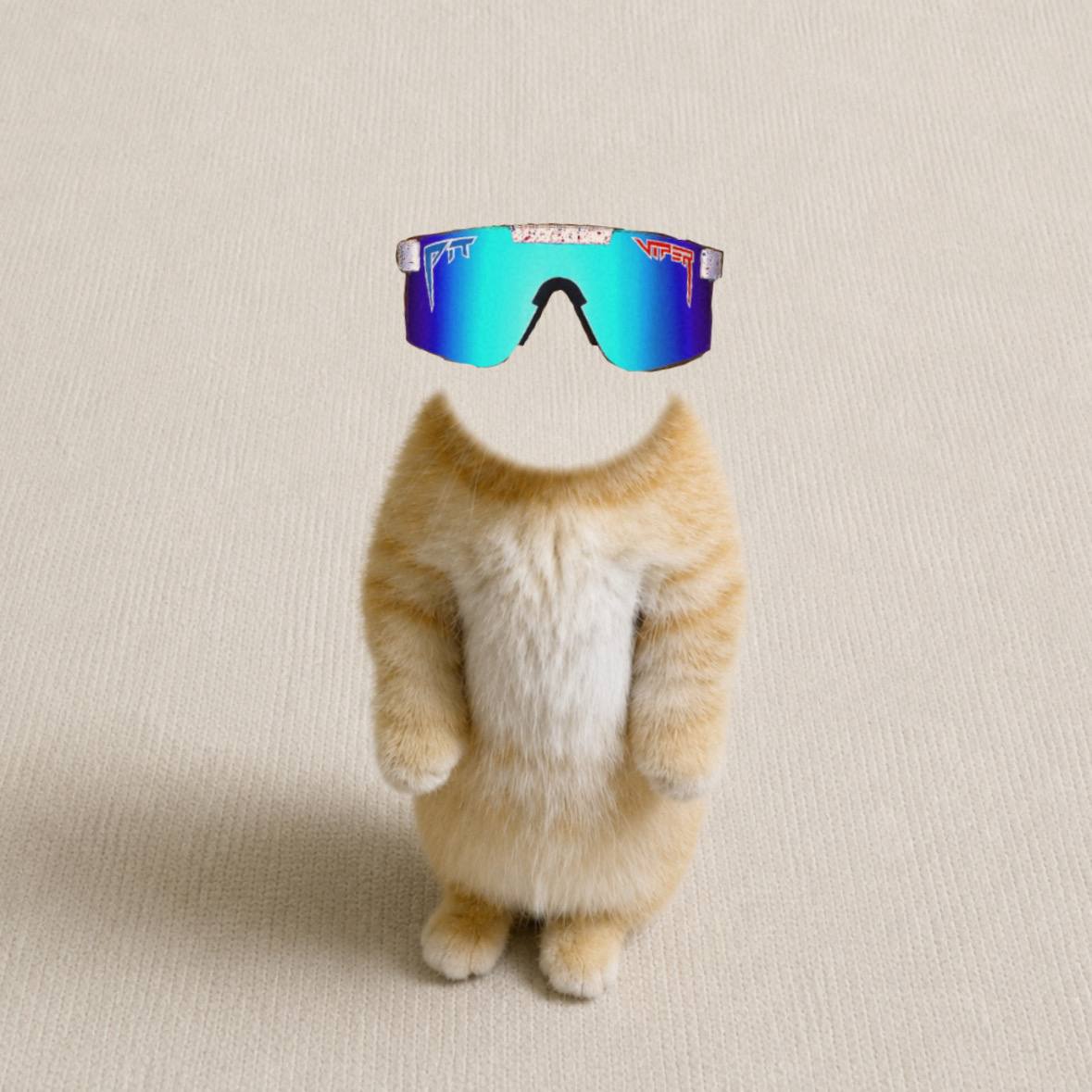 $CA the headless plush cat wearing floating sunglasses